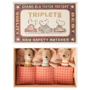 Ratoncitos trillizos en su caja