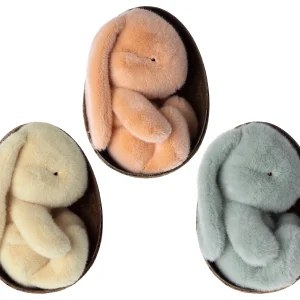 Conejito de peluche en su huevo