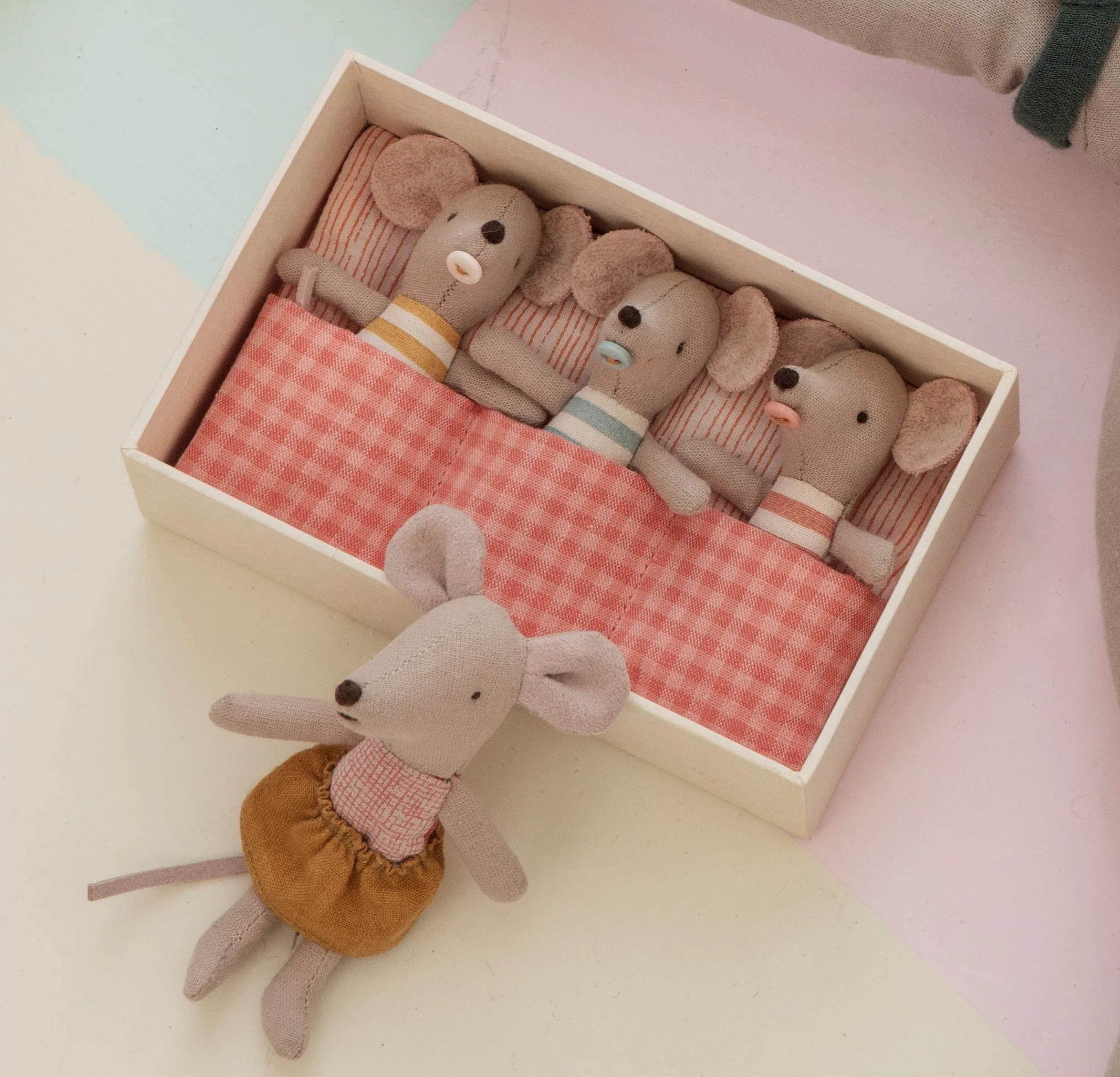 Ratoncitos trillizos en su caja - Imagen 3