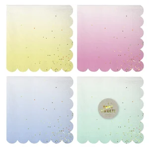 Ombre 20 servilletas pequeñas