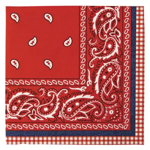 Howdy cowboy 12 servilletas L