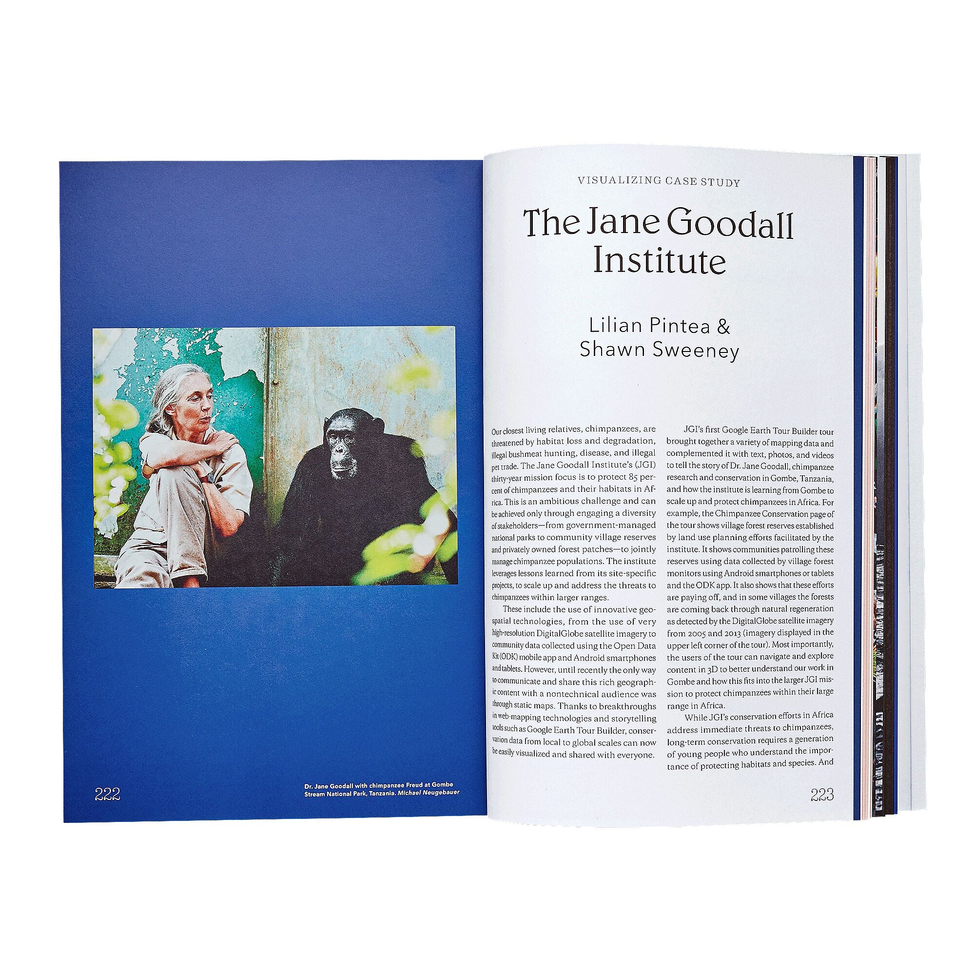 Tools for Grassroots Activists (tapa blanda) - Imagen 4