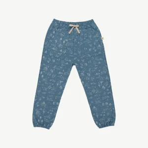 Joggers - Historia Azul Pizarra