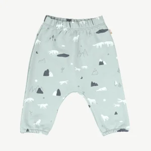 Jogger 'guardian wolves' gray mist