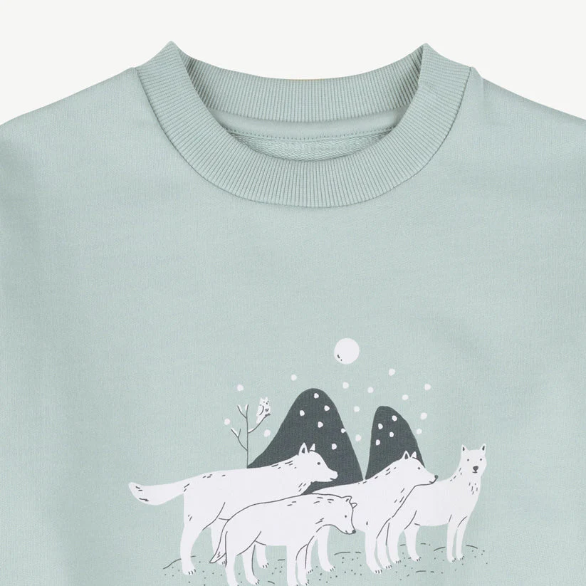 Sweatshirt 'true to the spirit' gray mist - Imagen 3