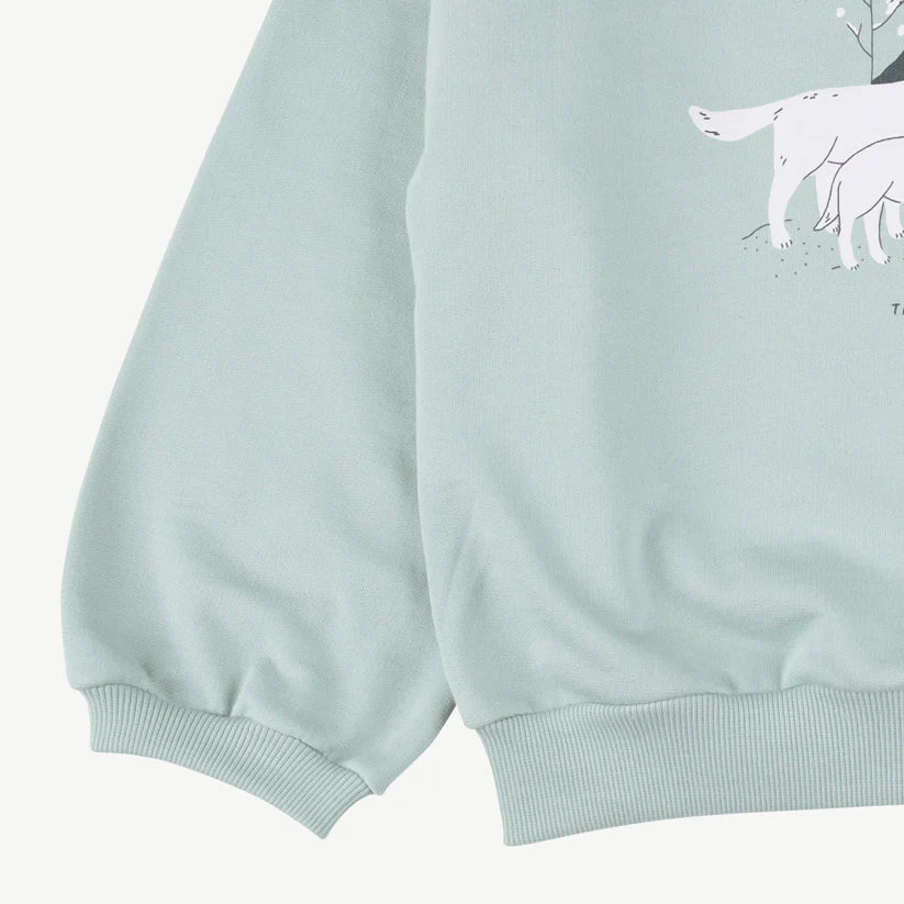 Sweatshirt 'true to the spirit' gray mist - Imagen 4