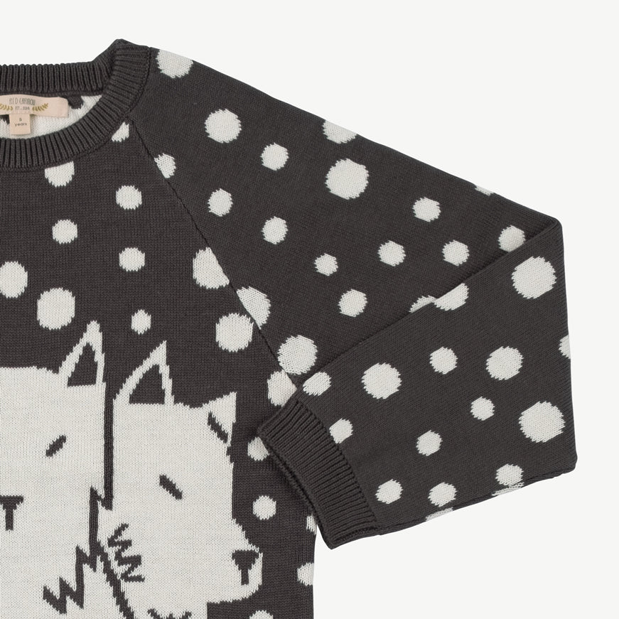 Chompa tejida 'the pack' dark shadow - Imagen 4