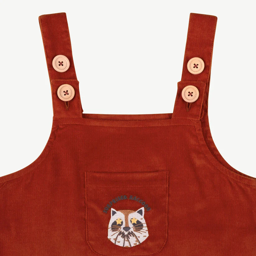 Vestido de corduroy 'amazed racoon' autum glaze - Imagen 3