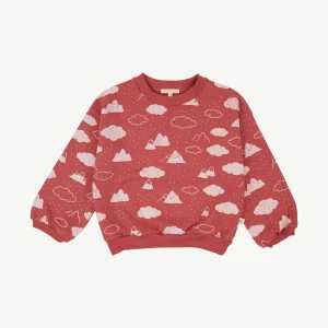 Polera 'amongst the clouds' tandoori spice