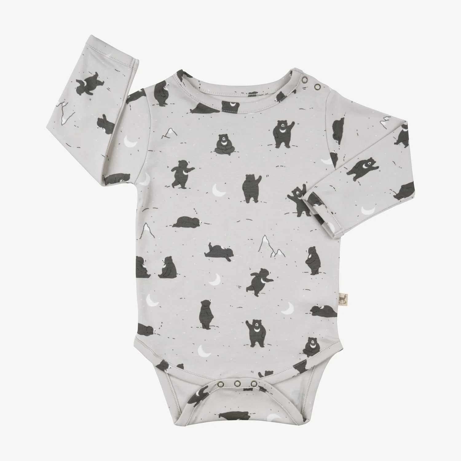 Body 'magic moonbear' lunar rock