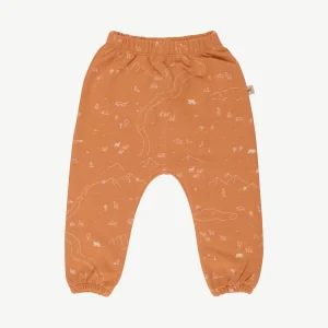 Joggers - Andean Plains - Doe