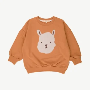 Polera - Alpaca face - Doe