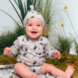 Body - Bear Land - Lunar Rock