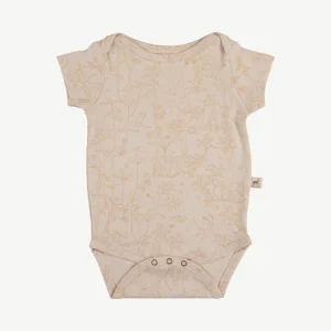 Body 'The Canopy' Pink Tint