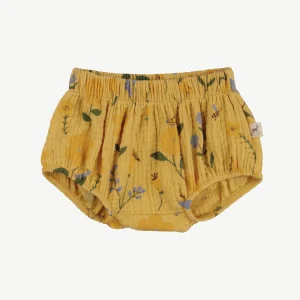 Bloomer 'spring blossom' amber yellow