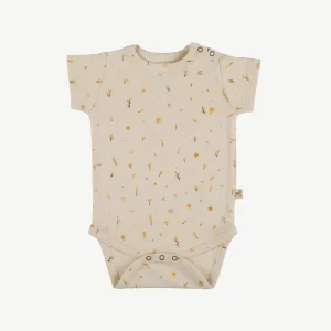 Body 'dusty bloom' tapioca