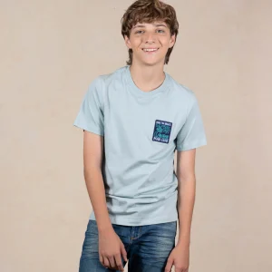 | Kids | Camiseta Bordada Fondo Entero Color Verde Grisoso Ref. 252031225