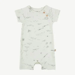 Enterizo 'the story' water lily