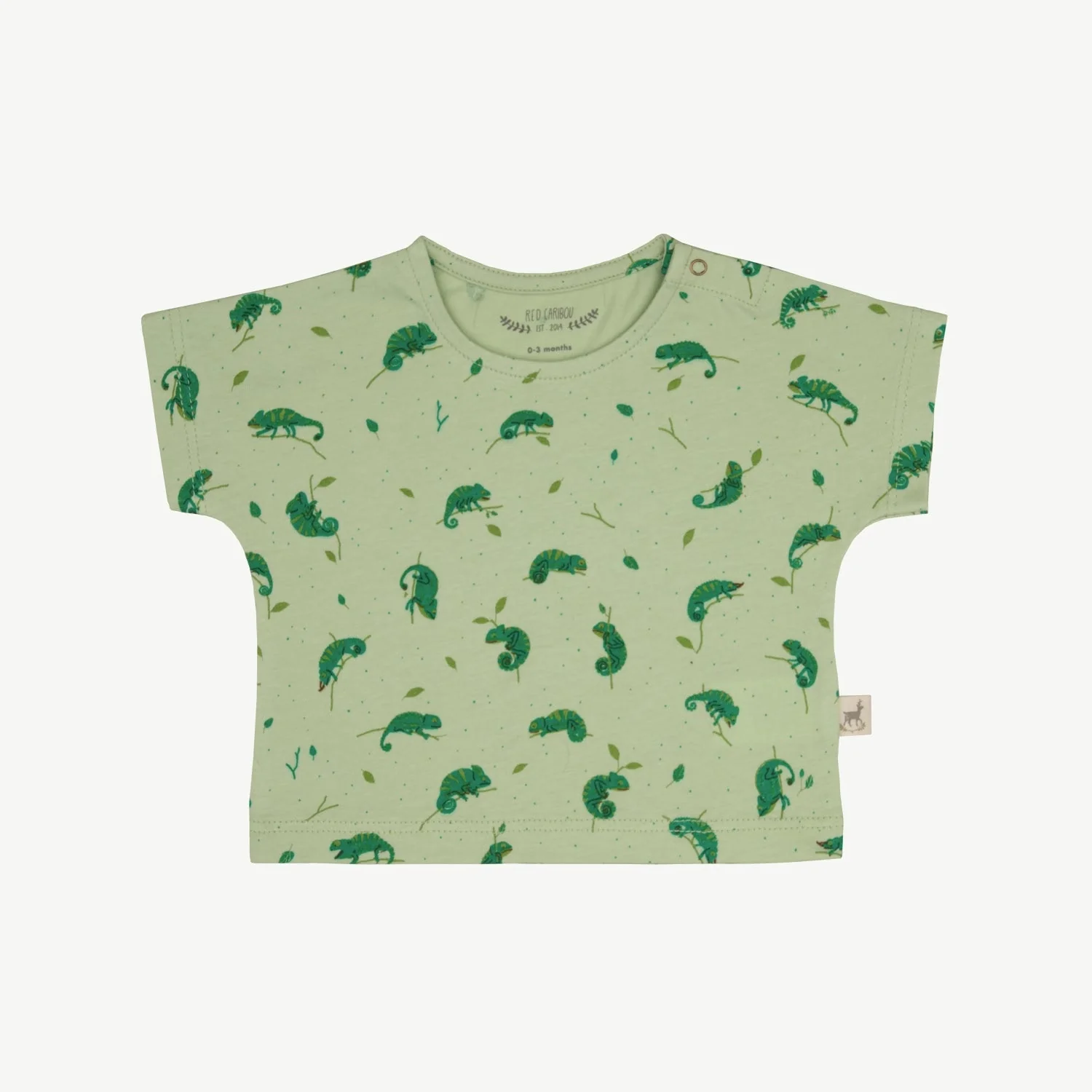 T-shirt Manga Corta - Camaleones - Verde Claro