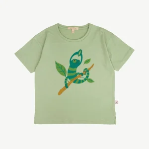 T-shirt Manga Corta - Camaleón - Verde Claro