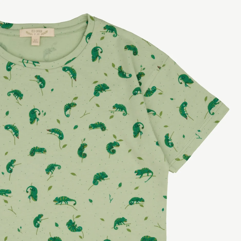 T-shirt Manga Corta - Camaleones - Verde Claro - Imagen 3
